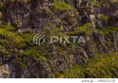 Rugged rock face adorned with moss and shrubs in nature Rugged rock face adorned with moss and shrubs in nature 140812119