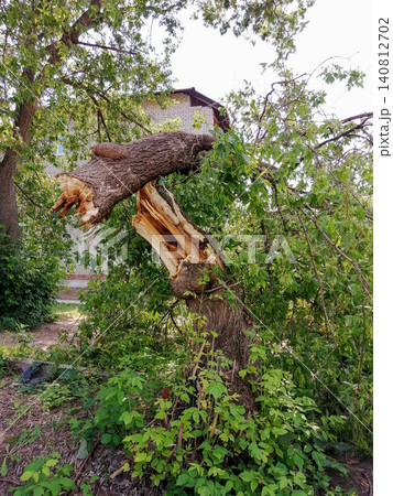 broken tree in the courtyard of a residential building after a severe hurricane or wind broken tree in the courtyard of a residential building after a severe hurricane or wind 140812702
