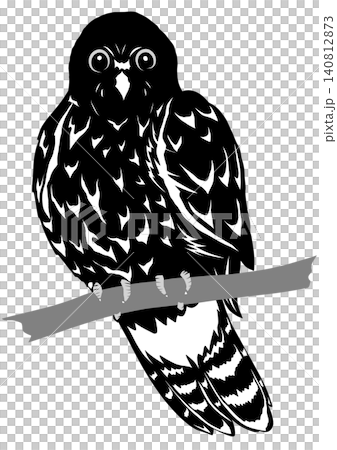 A paper-cut style illustration of a brown hawk owl perched on a tree, in a modern Japanese black silhouette. A paper-cut style illustration of a brown hawk owl perched on a tree, in a modern Japanese black silhouette. 140812873