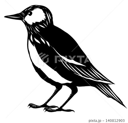 ムクドリの切り絵風シルエットイラスト 黒 背景透過ベクター ムクドリの切り絵風シルエットイラスト 黒 背景透過ベクター 140812903