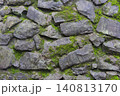 苔むした石垣 140813170