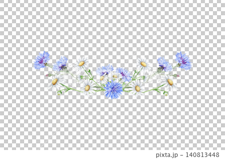 Delicate watercolor floral border with blue cornflowers and white chamomile daisies arranged in a symmetrical horizontal composition. Elegant botanical illustration isolated on white. Delicate watercolor floral border with blue cornflowers and white chamomile daisies arranged in a symmetrical horizontal composition. Elegant botanical illustration isolated on white. 140813448