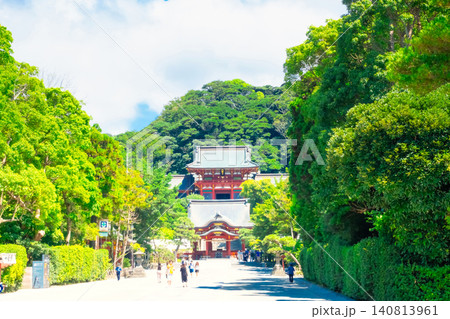 神奈川県・鶴岡八幡宮 神奈川県・鶴岡八幡宮 140813961