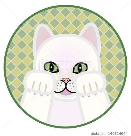 円形背景のついた猫の顔イラスト 円形背景のついた猫の顔イラスト 140814644