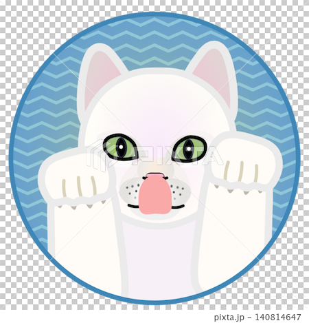 Cat face illustration with a circular background Cat face illustration with a circular background 140814647