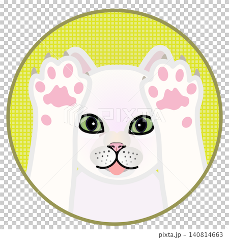 円形背景のついた猫の顔イラスト 円形背景のついた猫の顔イラスト 140814663