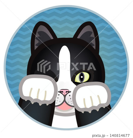 円形背景のついた猫の顔イラスト 円形背景のついた猫の顔イラスト 140814677