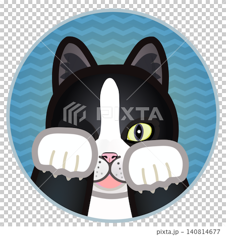 Cat face illustration with a circular background Cat face illustration with a circular background 140814677