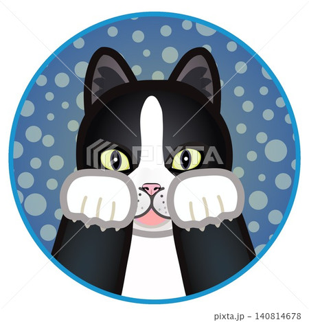 円形背景のついた猫の顔イラスト 円形背景のついた猫の顔イラスト 140814678