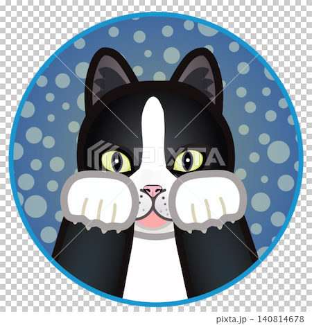 円形背景のついた猫の顔イラスト 円形背景のついた猫の顔イラスト 140814678