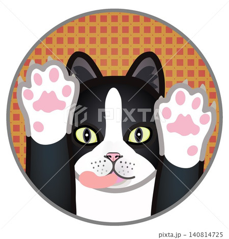 円形背景のついた猫の顔イラスト 140814725