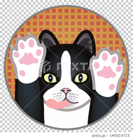 円形背景のついた猫の顔イラスト 140814725