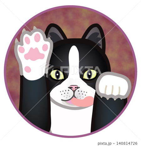 円形背景のついた猫の顔イラスト 円形背景のついた猫の顔イラスト 140814726
