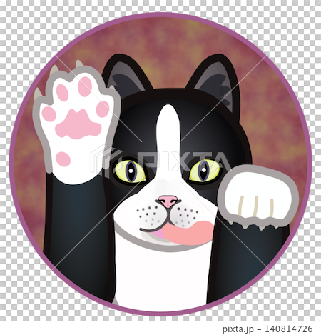 円形背景のついた猫の顔イラスト 円形背景のついた猫の顔イラスト 140814726