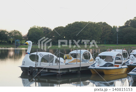 公園の池に浮かぶスワンボート。家族連れで賑わう休日を象徴するレトロな風景 公園の池に浮かぶスワンボート。家族連れで賑わう休日を象徴するレトロな風景 140815153