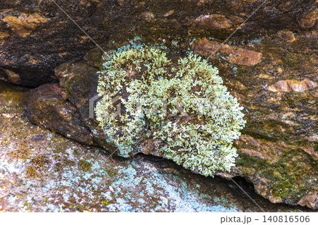 Stone rock texture with green moss and lichen in Brazil. Stone rock texture with green moss and lichen in Brazil. 140816506