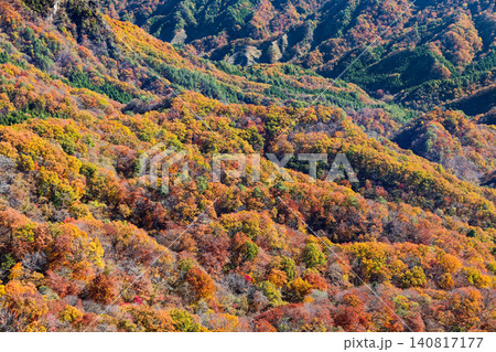 裏妙義・谷急山稜線から見る紅葉の山肌 裏妙義・谷急山稜線から見る紅葉の山肌 140817177