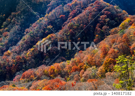 裏妙義・谷急山稜線から見る紅葉の山肌 裏妙義・谷急山稜線から見る紅葉の山肌 140817182