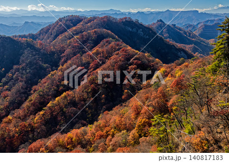 裏妙義・谷急山稜線から見る紅葉の西上州の山並み 裏妙義・谷急山稜線から見る紅葉の西上州の山並み 140817183