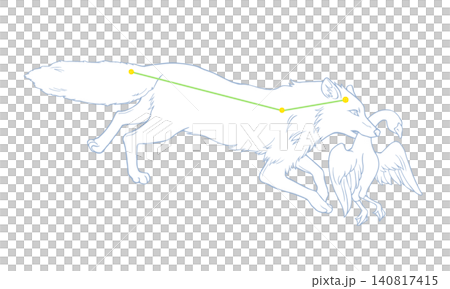 こぎつね座のカラー線画イラスト（小狐の絵と星座線） 140817415