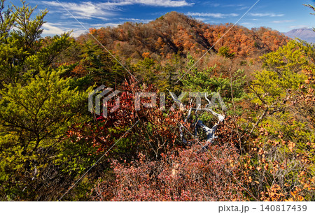 紅葉の裏妙義・谷急山を望む 紅葉の裏妙義・谷急山を望む 140817439
