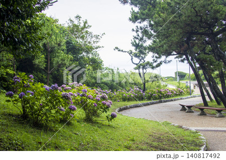 梅雨時期の神奈川県最南端の城ヶ島 梅雨時期の神奈川県最南端の城ヶ島 140817492