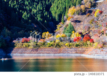 東京 紅葉に染まる奥多摩湖 東京 紅葉に染まる奥多摩湖 140818371