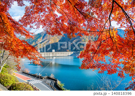 東京 紅葉に染まる奥多摩湖 東京 紅葉に染まる奥多摩湖 140818396