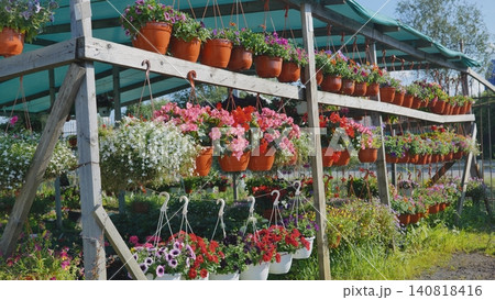 Colorful hanging flower pots decorating a garden center Colorful hanging flower pots decorating a garden center 140818416