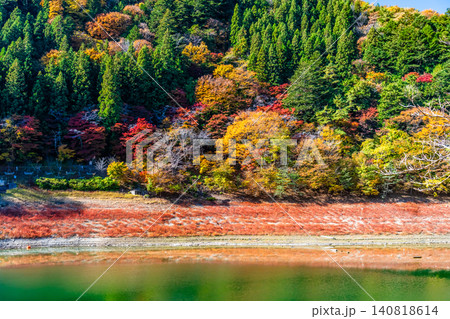東京 紅葉に染まる奥多摩湖 東京 紅葉に染まる奥多摩湖 140818614