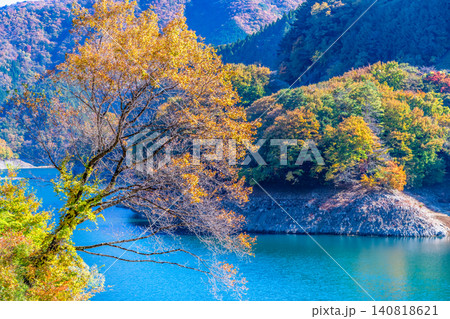 東京 紅葉に染まる奥多摩湖 東京 紅葉に染まる奥多摩湖 140818621