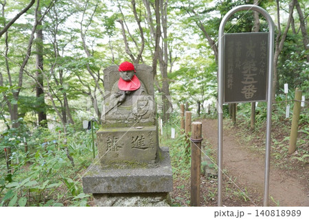 金剛寺 高幡不動尊 紫陽花 金剛寺 高幡不動尊 紫陽花 140818989