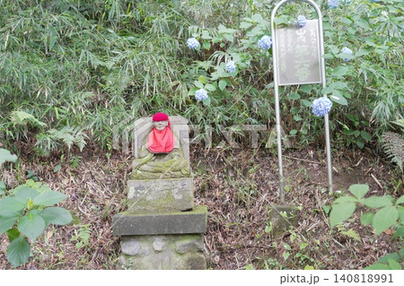 金剛寺 高幡不動尊 紫陽花 金剛寺 高幡不動尊 紫陽花 140818991