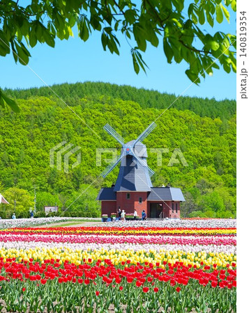 北海道の絶景 かみゆうべつチューリップ公園 北海道の絶景 かみゆうべつチューリップ公園 140819354