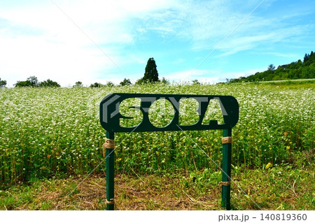 夏の新潟県小千谷市小千谷山本山高原そば畑・ソバの花畑風景 140819360