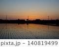 夕暮れの美しいグラデーション空が鏡のように映り込む田植え後の広大な水田 140819499