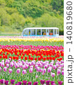 北海道の絶景 かみゆうべつチューリップ公園 北海道の絶景 かみゆうべつチューリップ公園 140819680