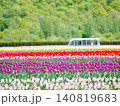 北海道の絶景 かみゆうべつチューリップ公園 北海道の絶景 かみゆうべつチューリップ公園 140819683