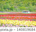 北海道の絶景 かみゆうべつチューリップ公園 北海道の絶景 かみゆうべつチューリップ公園 140819684