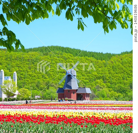 北海道の絶景 かみゆうべつチューリップ公園 北海道の絶景 かみゆうべつチューリップ公園 140819686