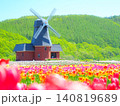 北海道の絶景 かみゆうべつチューリップ公園 北海道の絶景 かみゆうべつチューリップ公園 140819689