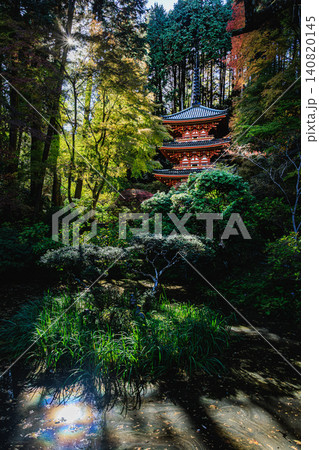 杉の巨木と美しい紅葉に彩られた岩船寺の境内風景 杉の巨木と美しい紅葉に彩られた岩船寺の境内風景 140820145