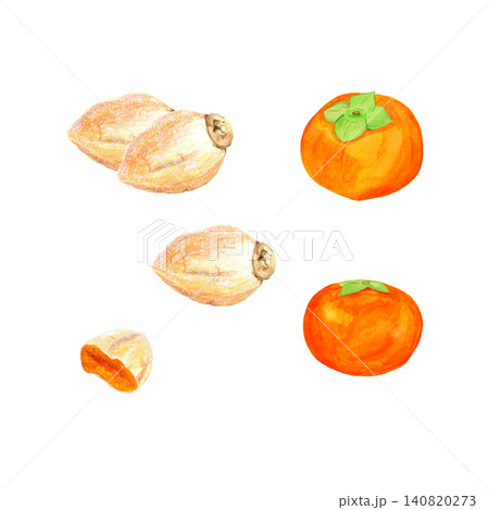 手描き水彩の柿と干し柿のセットイラスト 秋の味覚 和風 果物 食材 白背景 手描き水彩の柿と干し柿のセットイラスト 秋の味覚 和風 果物 食材 白背景 140820273