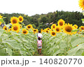 ひまわり畑を散策する親子 140820770