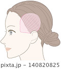 側頭筋のイラスト 140820825