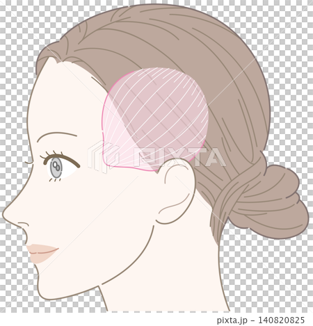 側頭筋のイラスト 140820825