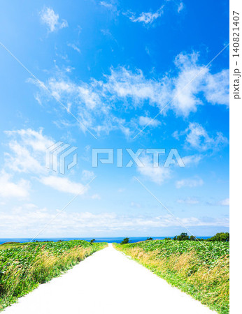 爽やかな夏の北海道稚内市宗谷丘陵にある白い道と青空の風景 爽やかな夏の北海道稚内市宗谷丘陵にある白い道と青空の風景 140821407