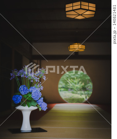 鎌倉・明月院ブルーに染まる初夏の紫陽花 140821481