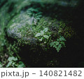 初夏の古都に広がるサステナブルな緑の風景 140821482