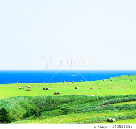 夏の北海道稚内市宗谷丘陵から見た牧草ロールが転がる雄大な風景 140821553